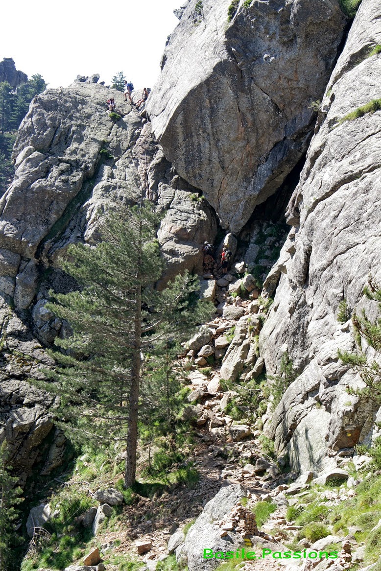 randonnee pedestre zonza